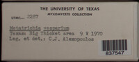 Image Associated With the Occurence